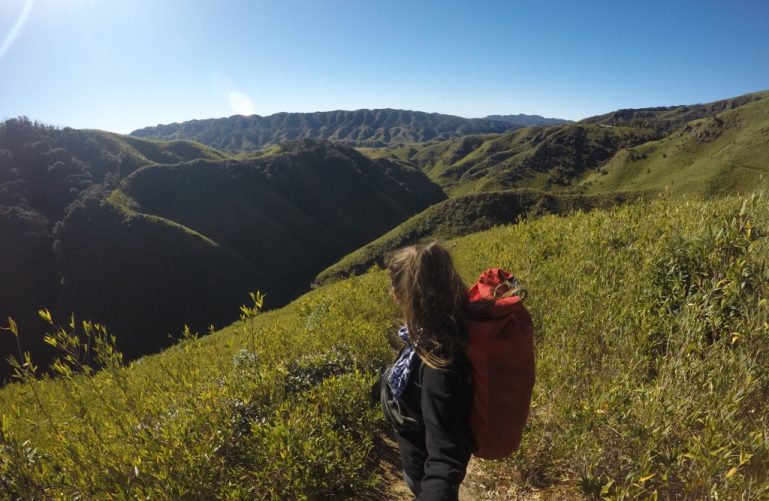 Dzukou Valley, Nagaland, Northeast India. The Dzükou Valley is located at  the border of the states of Nagaland and Manipur of India Stock Photo -  Alamy